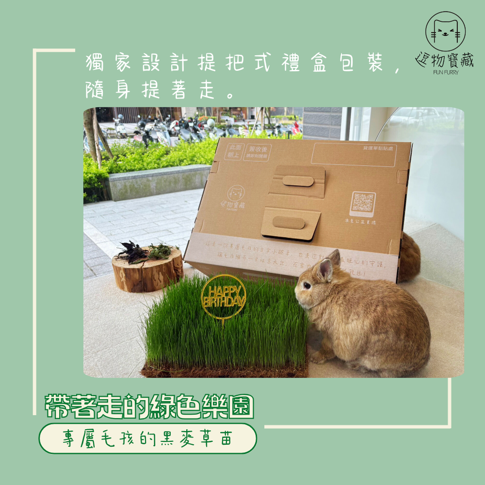 逗物寶藏｜大草皮義賣(冷藏宅配單獨出貨或協會自取)(無超商取貨)