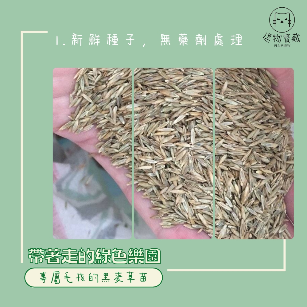 逗物寶藏｜小草皮義賣(冷藏宅配單獨出貨或協會自取)(無超商取貨)