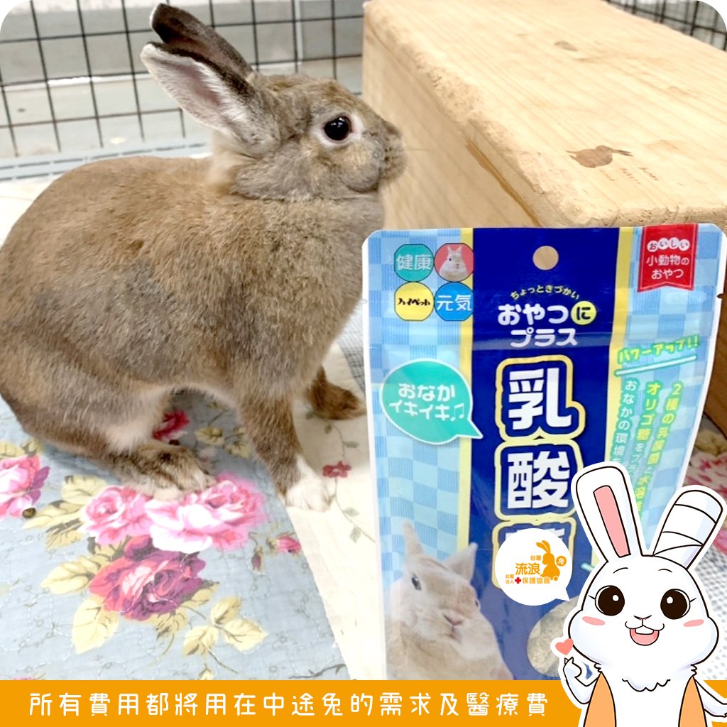 日本 HI-PET 乳酸菌保健牧草零食