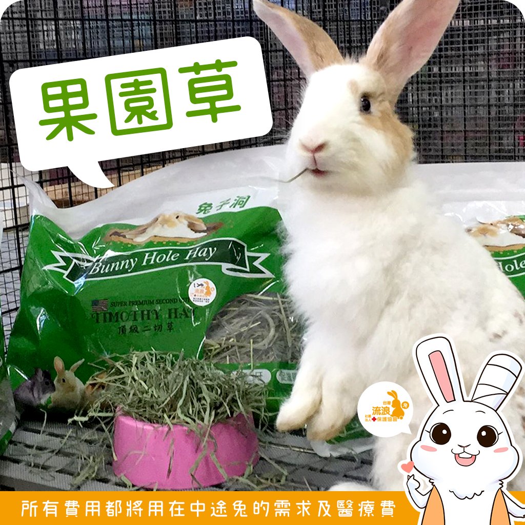 美國 兔子洞 果園草