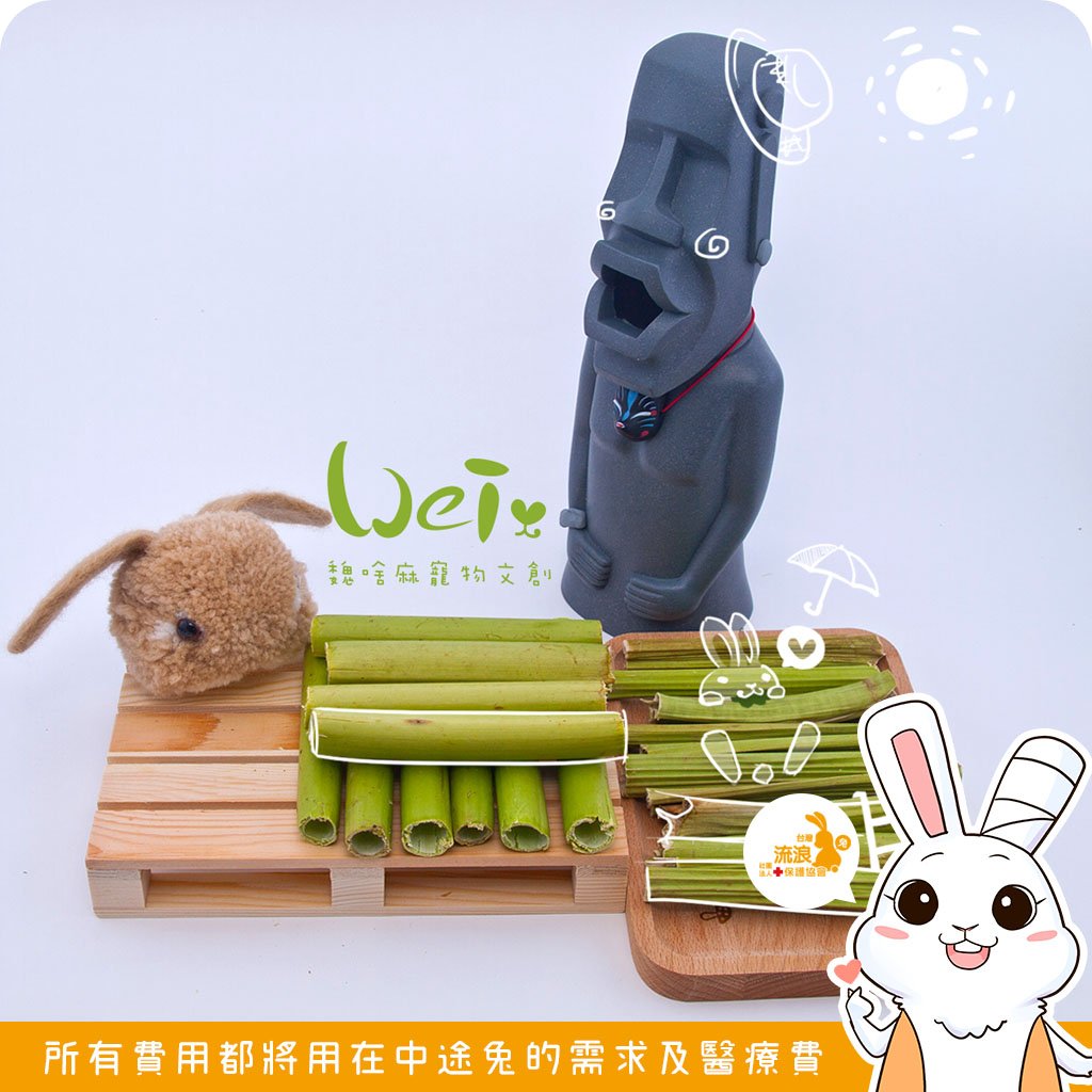 魏啥麻手工零食 - 紅骨木瓜莖