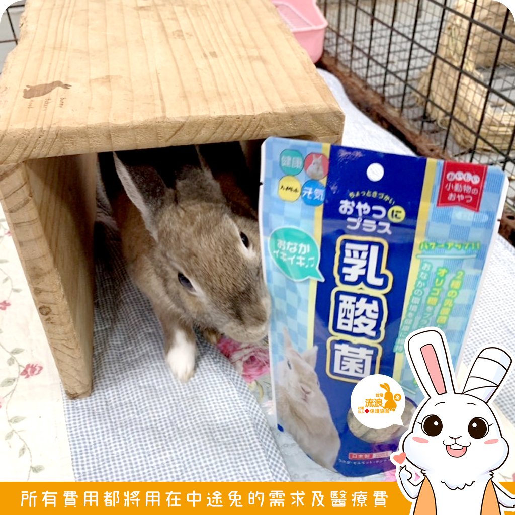 日本 HI-PET 乳酸菌保健牧草零食