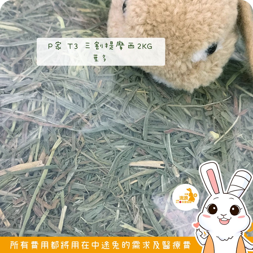 P家牧草 T3 三割提摩西
