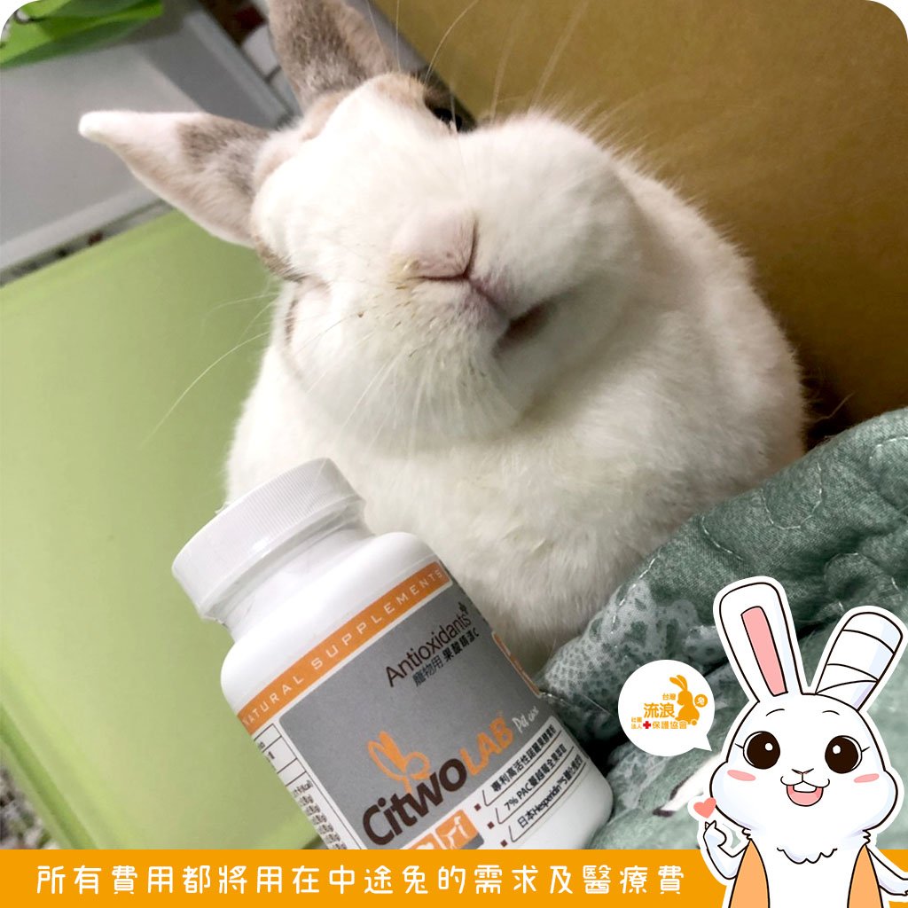 CI兔 Citwo LAB 果酸睛漾C