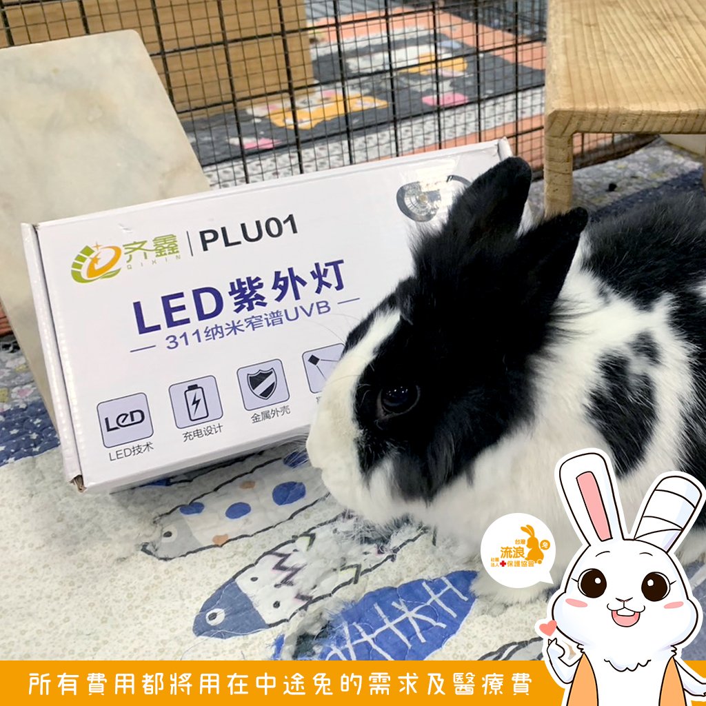 PLU01 LED紫外線燈 311納米窄譜UVB