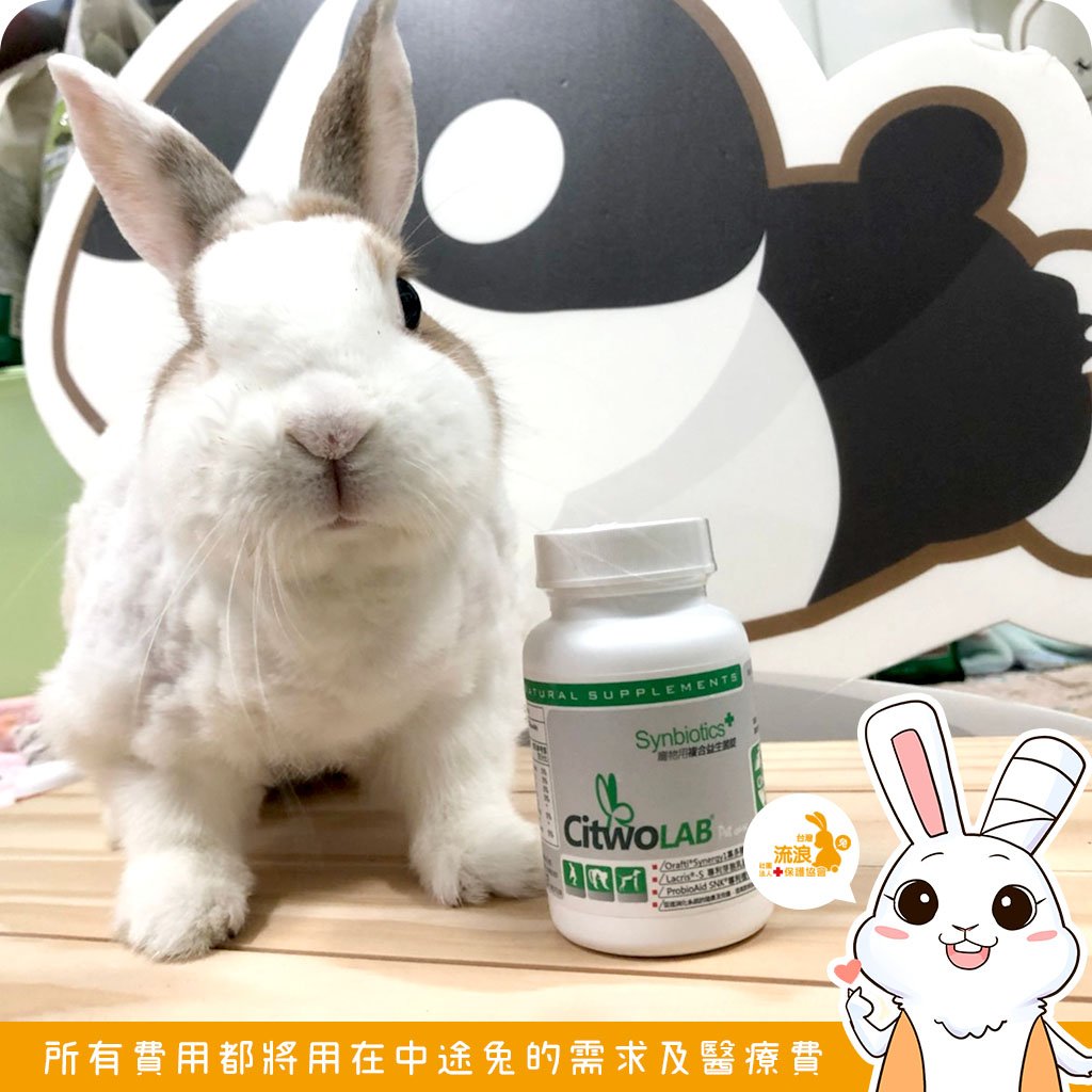CI兔 Citwo LAB 益兔寶 複合益生菌