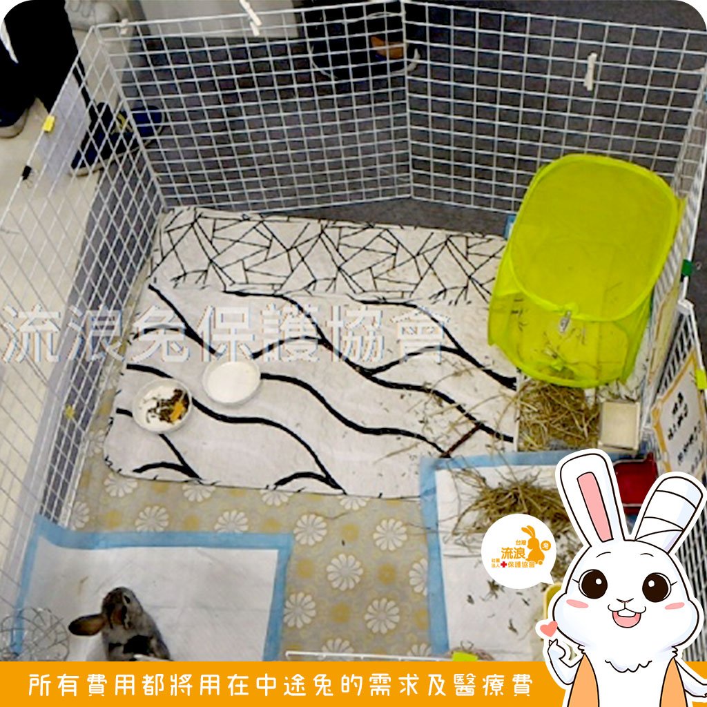 烤漆圍片60x90cm (5分網格)