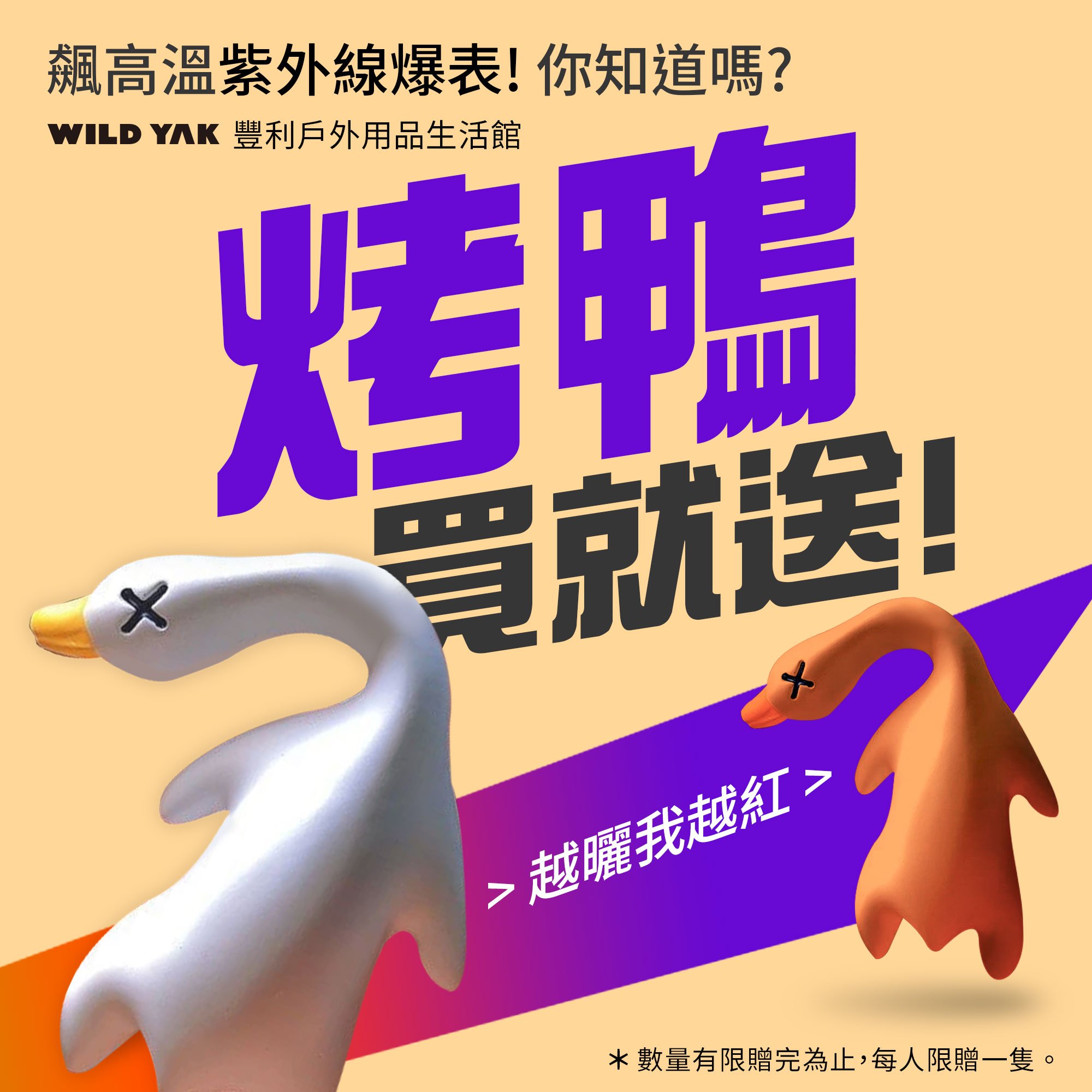 今夏送你【烤鴨】啦!!