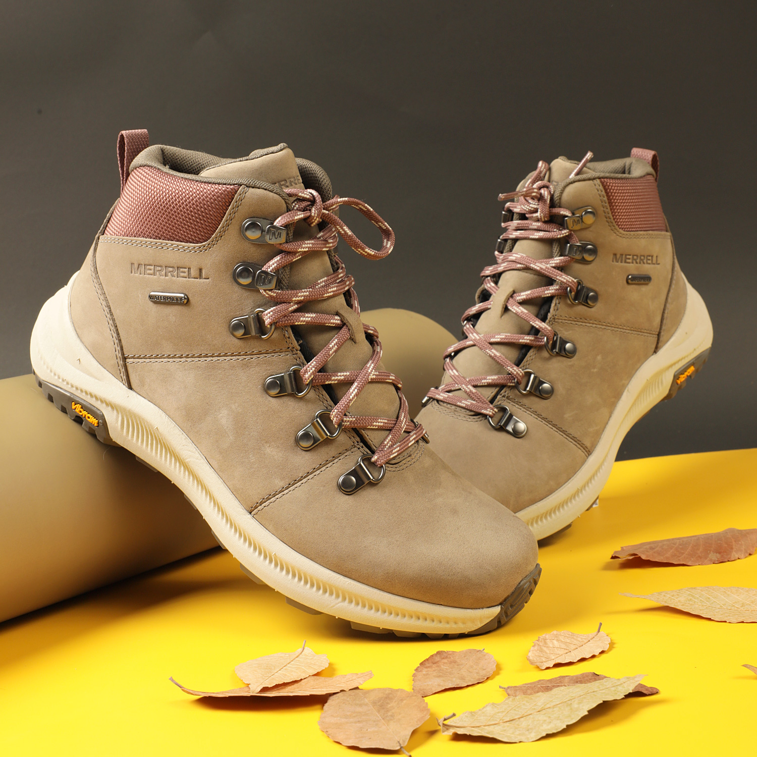 和安太歲一樣重要的事!女王要得通通好!!