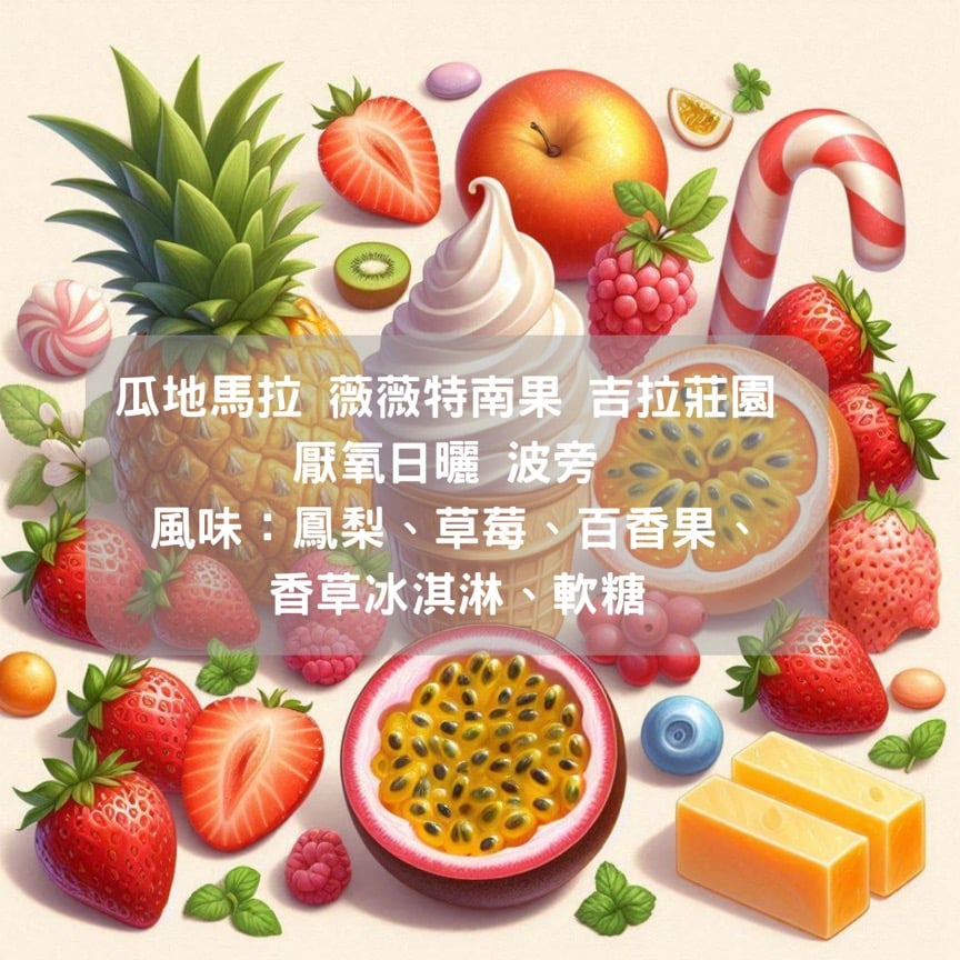 瓜地馬拉 薇薇特南果 吉拉莊園 厭氧日曬 波旁 (半磅/濾掛式10包)