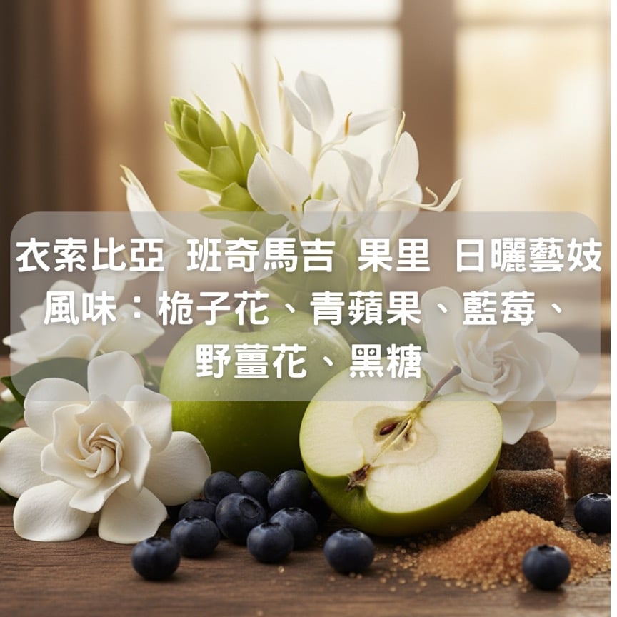 衣索比亞 班奇馬吉 G1 果里 日曬 藝妓(半磅/濾掛式10包)