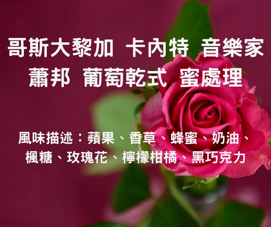 哥斯大黎加 葡萄乾式蜜處理 卡內特莊園-蕭邦（半磅/濾掛式10包）