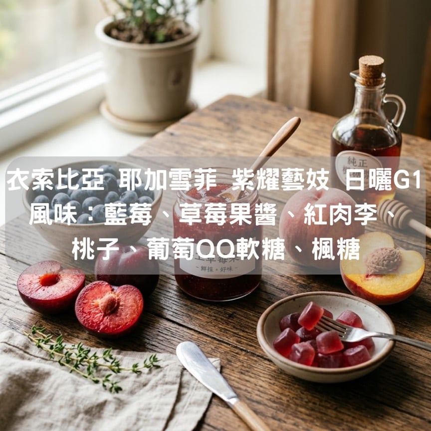 衣索比亞 耶加雪菲 紫耀藝妓 日曬 G1(半磅/濾掛式10包)
