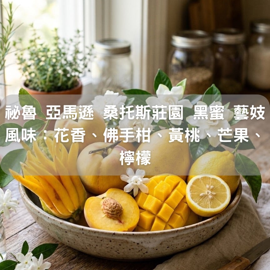 秘魯 亞馬遜 桑托斯莊園 黑蜜處理 藝妓(半磅/濾掛式10包)