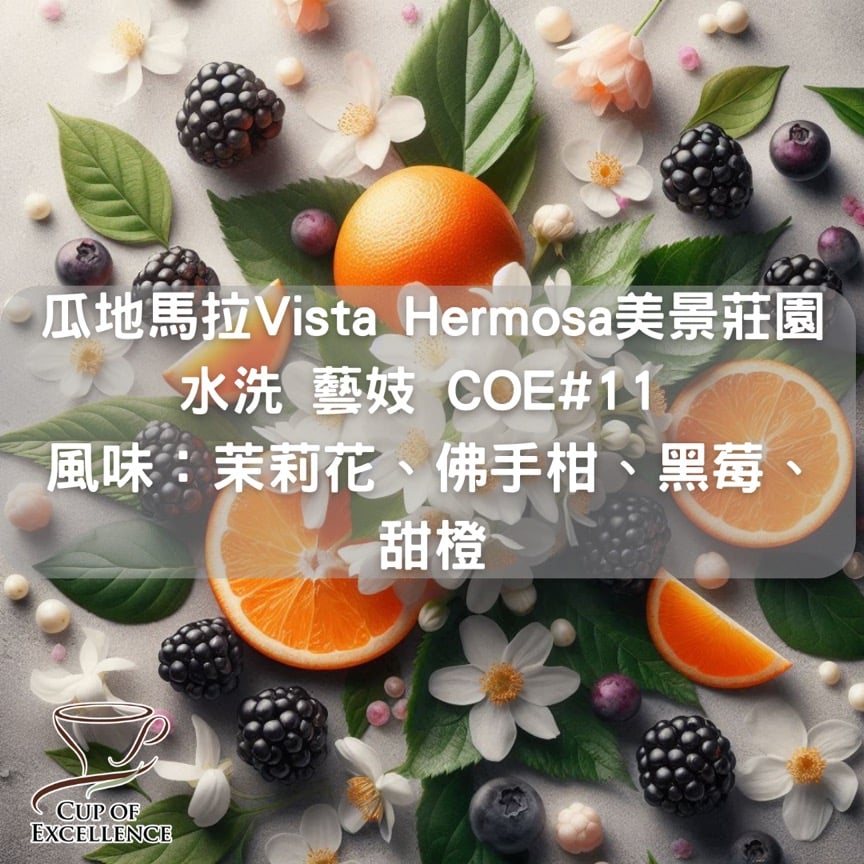 瓜地馬拉Vista Hermosa美景莊園 水洗 藝妓 COE#11(半磅/濾掛式10包)