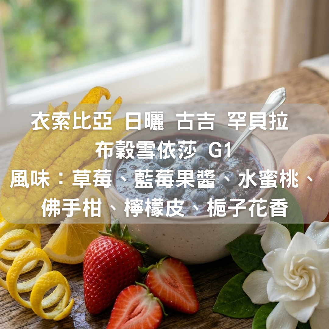 衣索比亞 日曬 古吉 罕貝拉 布穀雪依莎 G1(半磅/濾掛式10包)