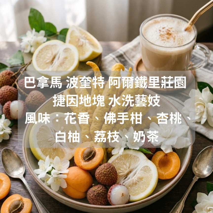 巴拿馬 波奎特 阿爾鐵里莊園 捷因地塊 水洗藝妓(半磅)