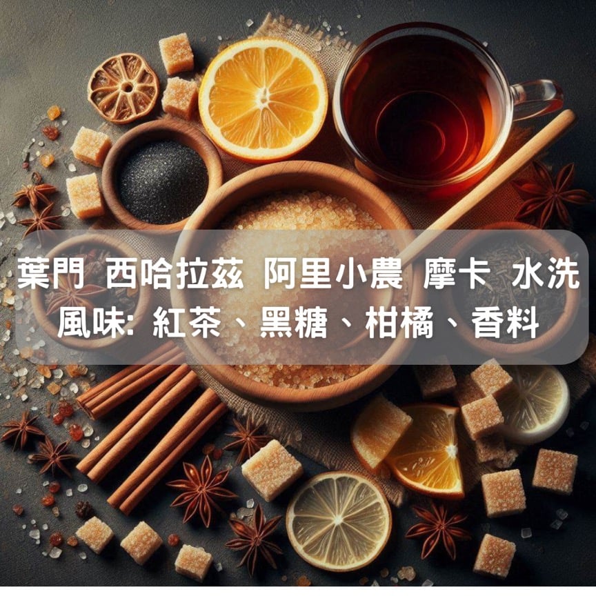 葉門 西哈拉茲 阿里小農 摩卡 水洗(半磅/濾掛式10包)