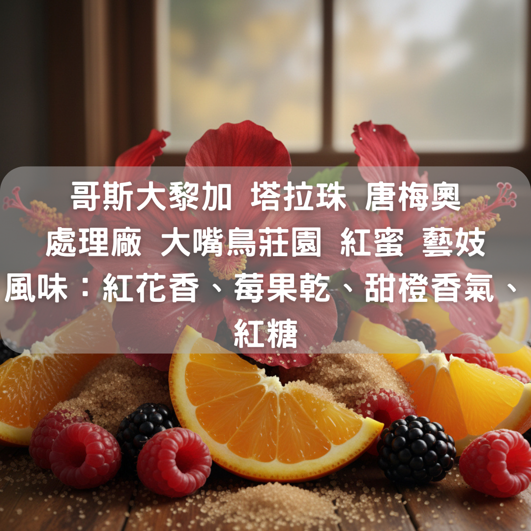 哥斯大黎加 塔拉珠 唐梅奧處理 廠 大嘴鳥莊園 紅蜜 藝妓(半磅/濾掛式10包）