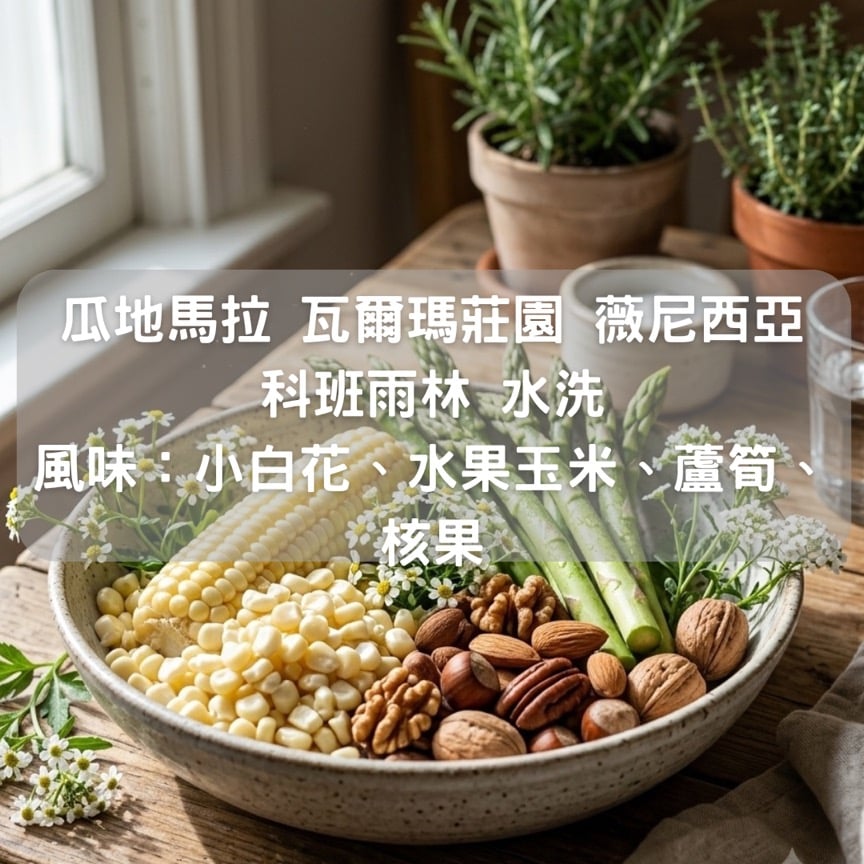 瓜地馬拉 瓦爾瑪莊園 薇尼西亞科班雨林 水洗（半磅/濾掛式10包）