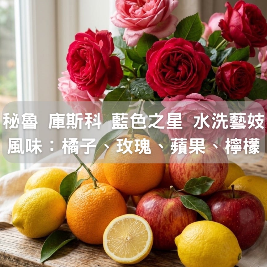 秘魯 庫斯科 藍色之星 水洗藝妓(半磅/濾掛式10包)