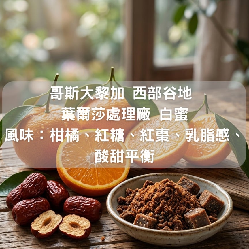 哥斯大黎加 西部谷地 葉爾莎處理廠 白蜜(半磅/濾掛式10包）