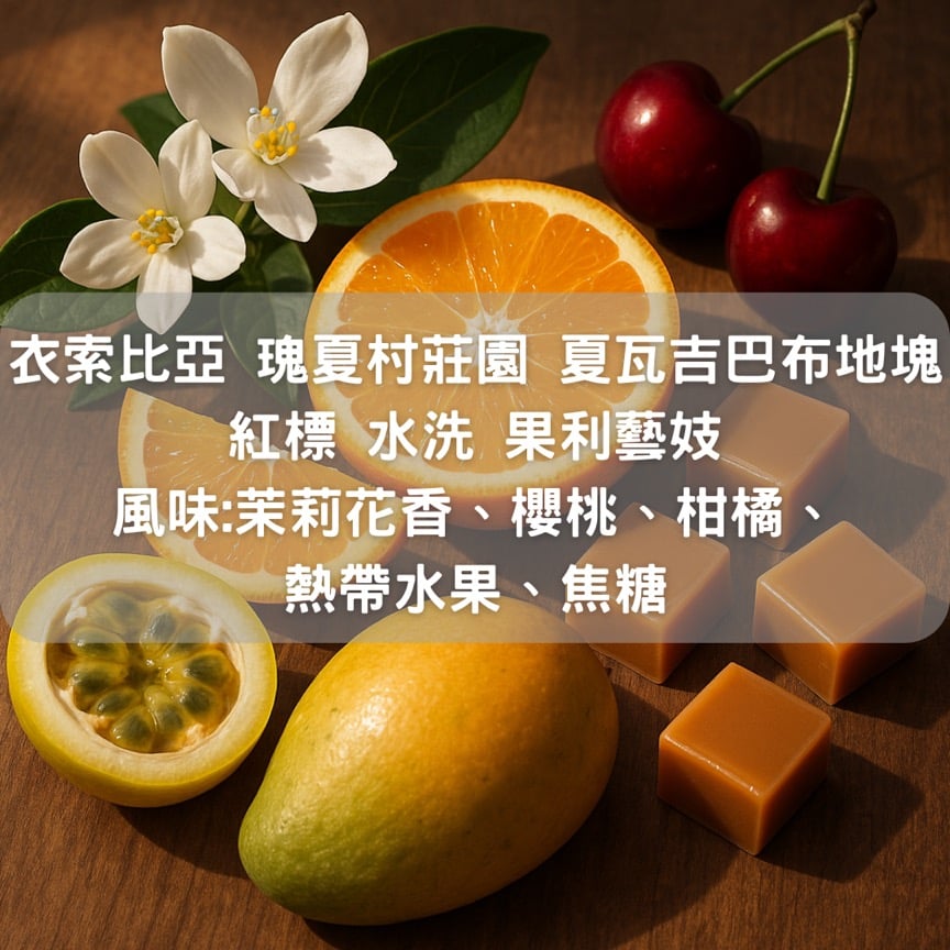 衣索比亞 瑰夏村莊園 果利瑰夏 夏瓦吉巴布 地塊 紅標批次 水洗藝妓(半磅/濾掛式10包)