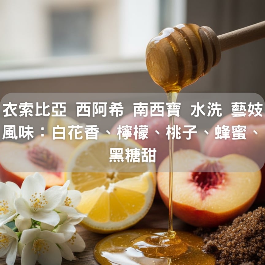 衣索比亞 西阿希 南西寶 水洗 藝妓(半磅/濾掛式10包)