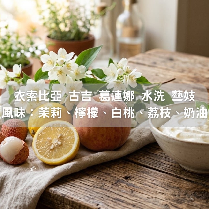 衣索比亞 古吉 葛連娜 水洗 藝妓(半磅/濾掛式10包)