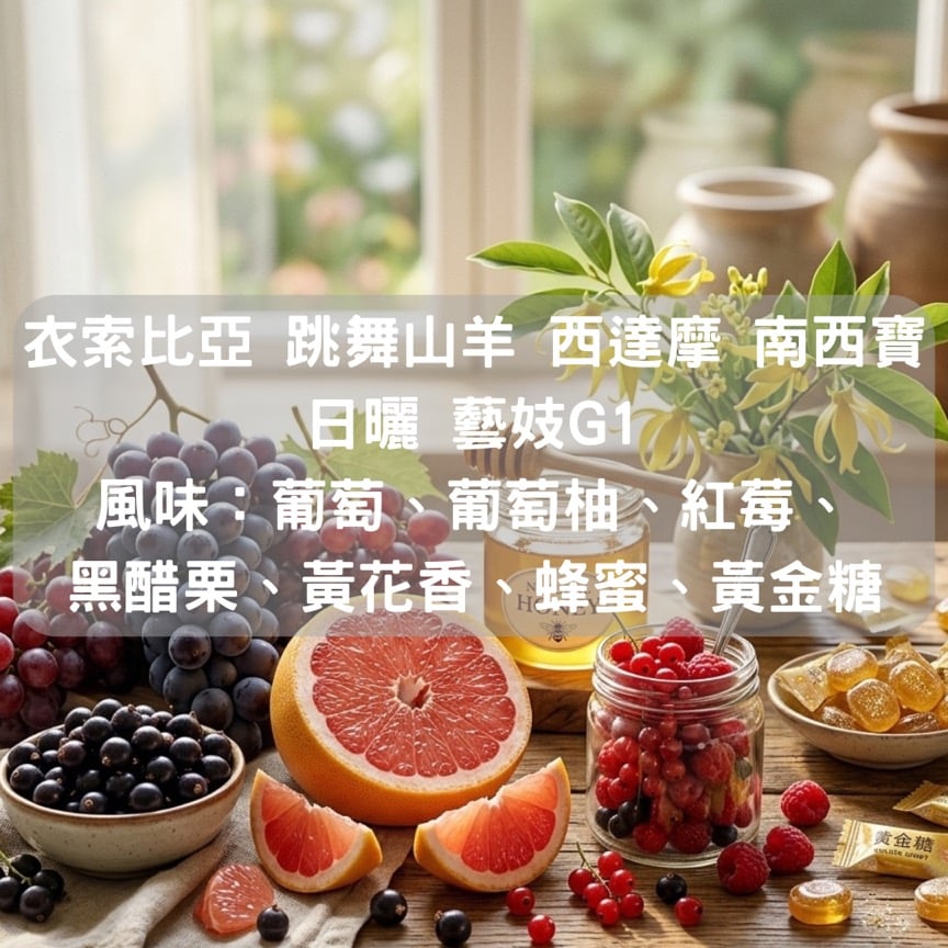 衣索比亞 跳舞山羊 西達摩 南西寶 日曬藝妓G1(半磅/濾掛式10包)