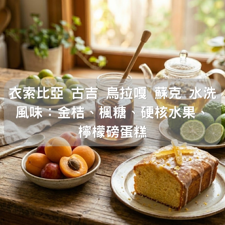 衣索比亞 古吉 烏拉嘎 蘇克 水洗(半磅/濾掛式10包)