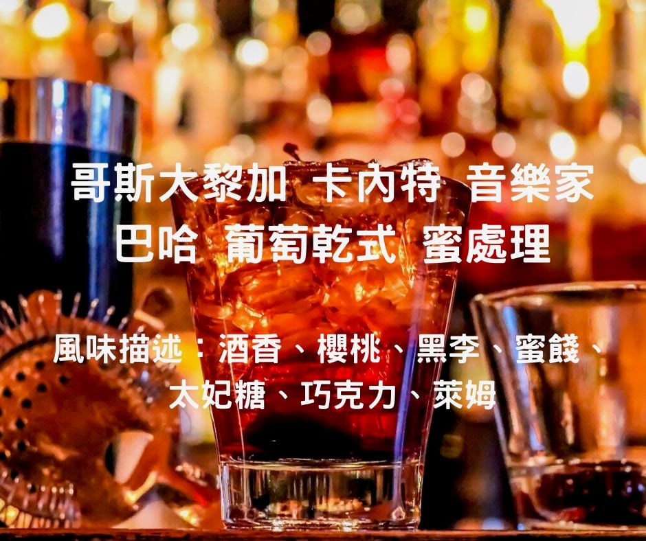 哥斯大黎加 葡萄乾式蜜處理 卡內特莊園-巴哈 （半磅/濾掛式10包）