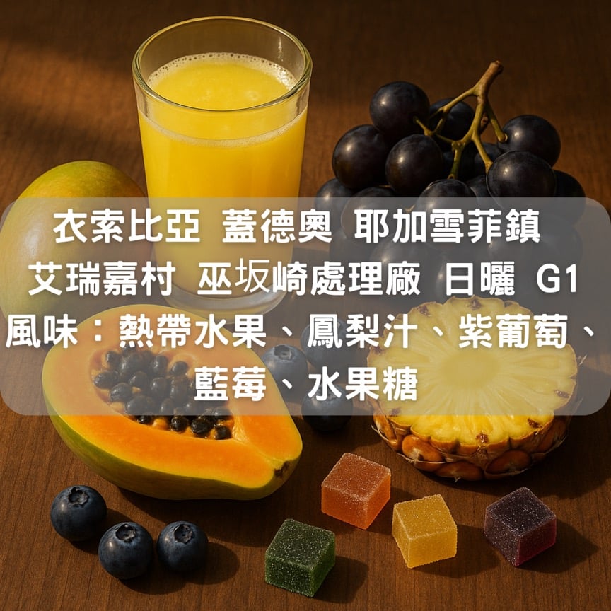 衣索比亞 蓋德奧 耶加雪菲鎮 艾瑞嘉村 巫坂崎處理廠 日曬 G1 (半磅/濾掛式10包)