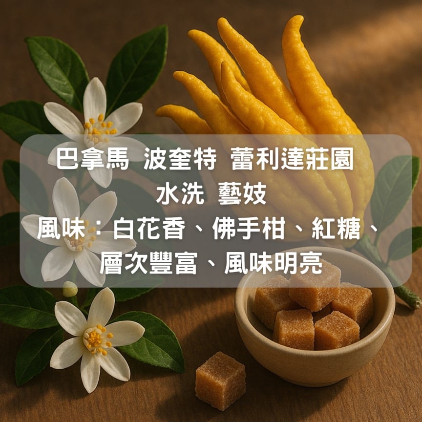 巴拿馬 波奎特 蕾利達莊園 水洗 藝妓 (半磅)