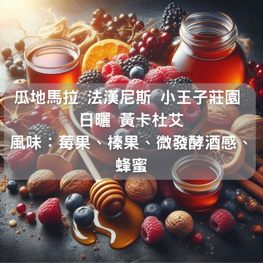 瓜地馬拉 法漢尼斯 小王子莊園 日曬 黃卡杜艾(半磅/濾掛式10包)