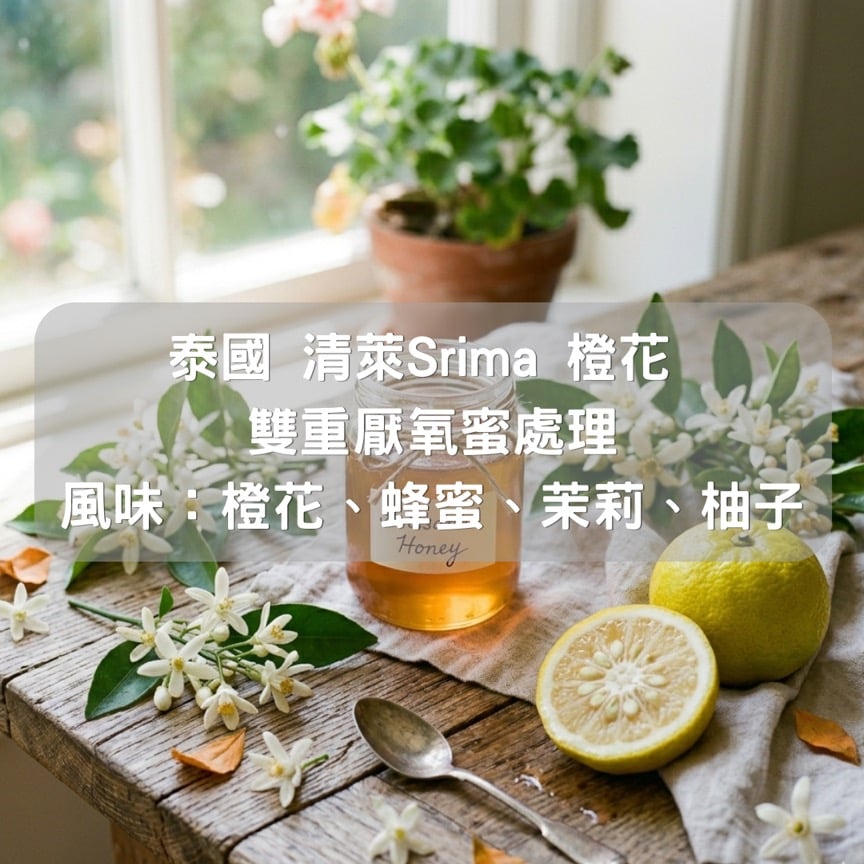 泰國 清萊Srima OB橙花 雙重厭氧蜜處理(半磅/濾掛式10包)