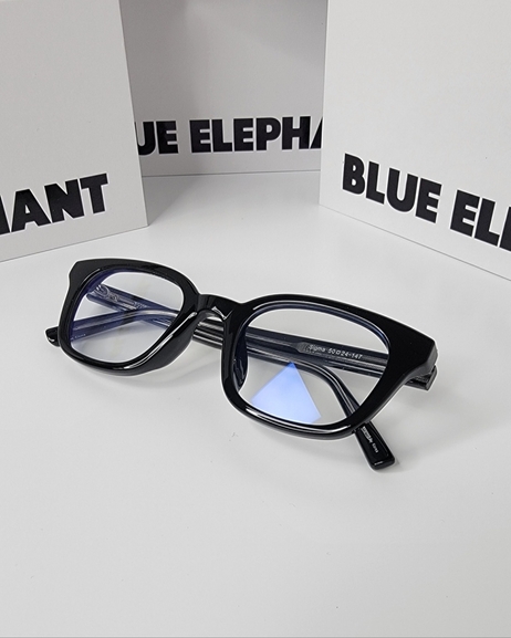 美品⭐︎BLUE ELEPHANT ブラックフレーム メガネ New] Korea Brand Blue Elephant Sunglasses GARDEN Black | eBay