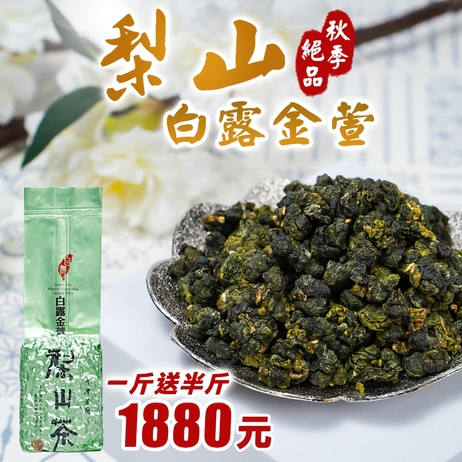 台灣頂級高山春茶| 2O23 春茶- 六年二班茶班長