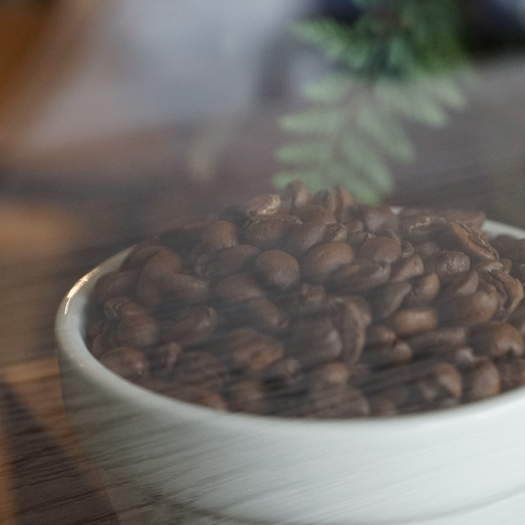 印尼 蘇門答臘島 黃金曼特寧1