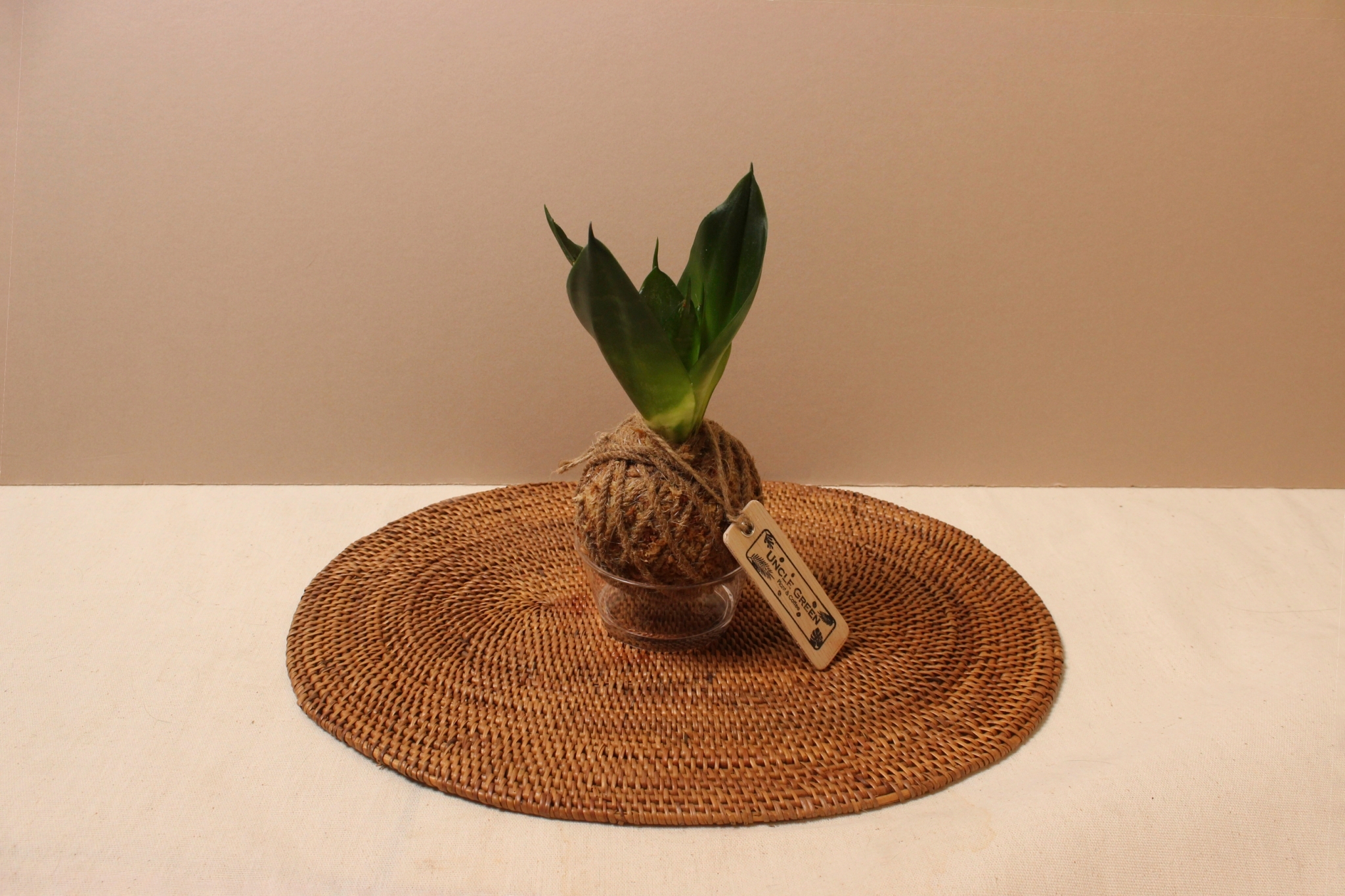 苔球_翡翠虎尾蘭-麻繩1