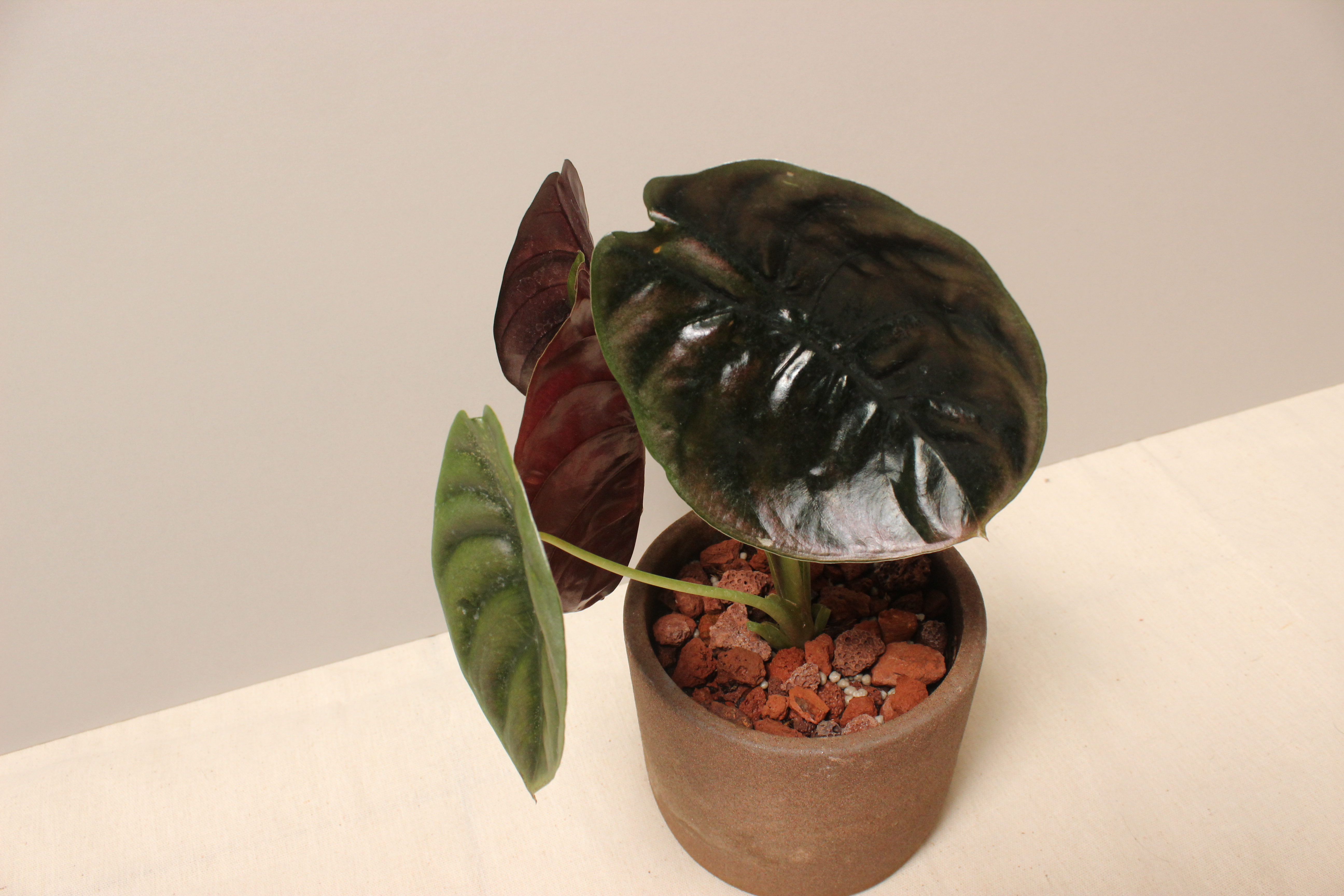 磨砂石盆_銅鏡觀音蓮4