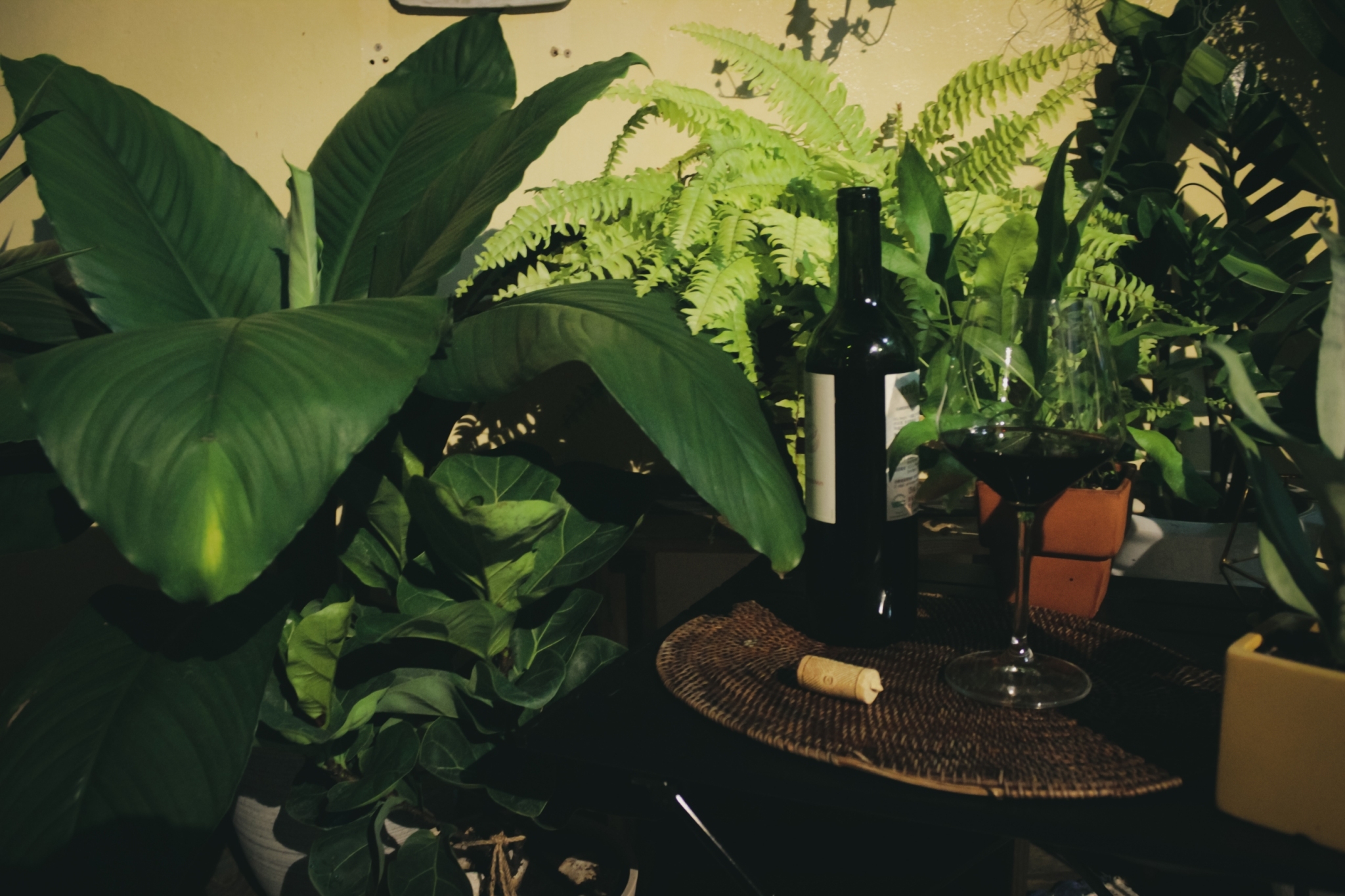 客製化植栽專區＜勿直接下單＞1