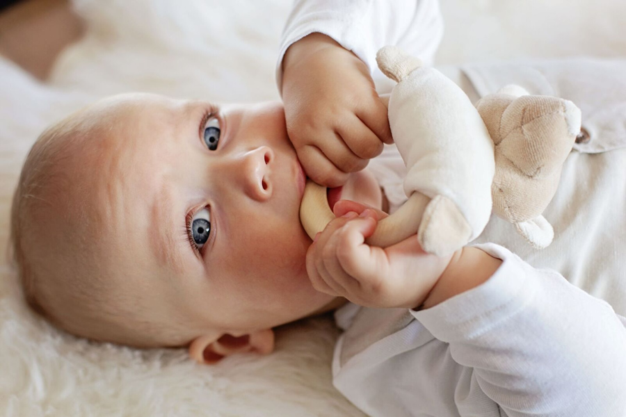 WoolyOrganic有機棉絨 咬咬木質固齒環(丹丹熊)2