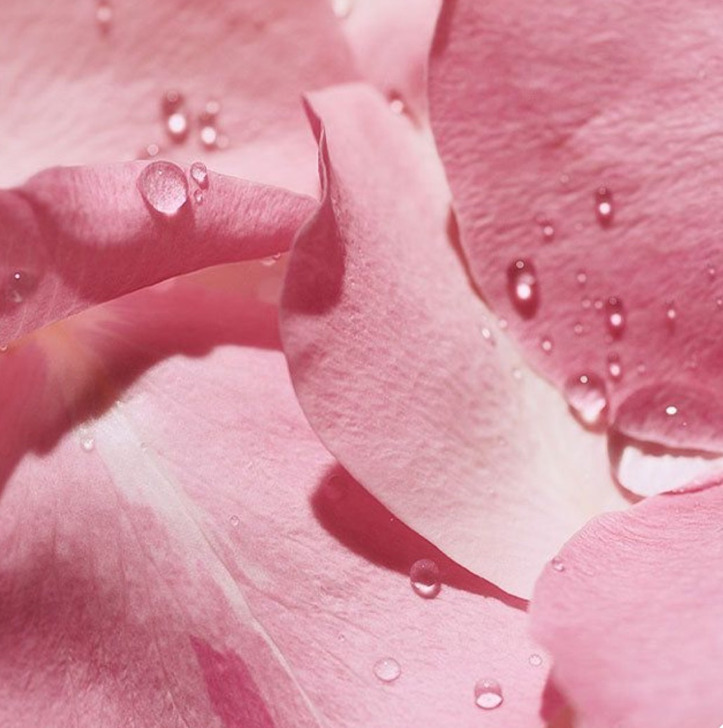 KPIA 無酒精證書（需先上完KPIA lv.1大證書）6