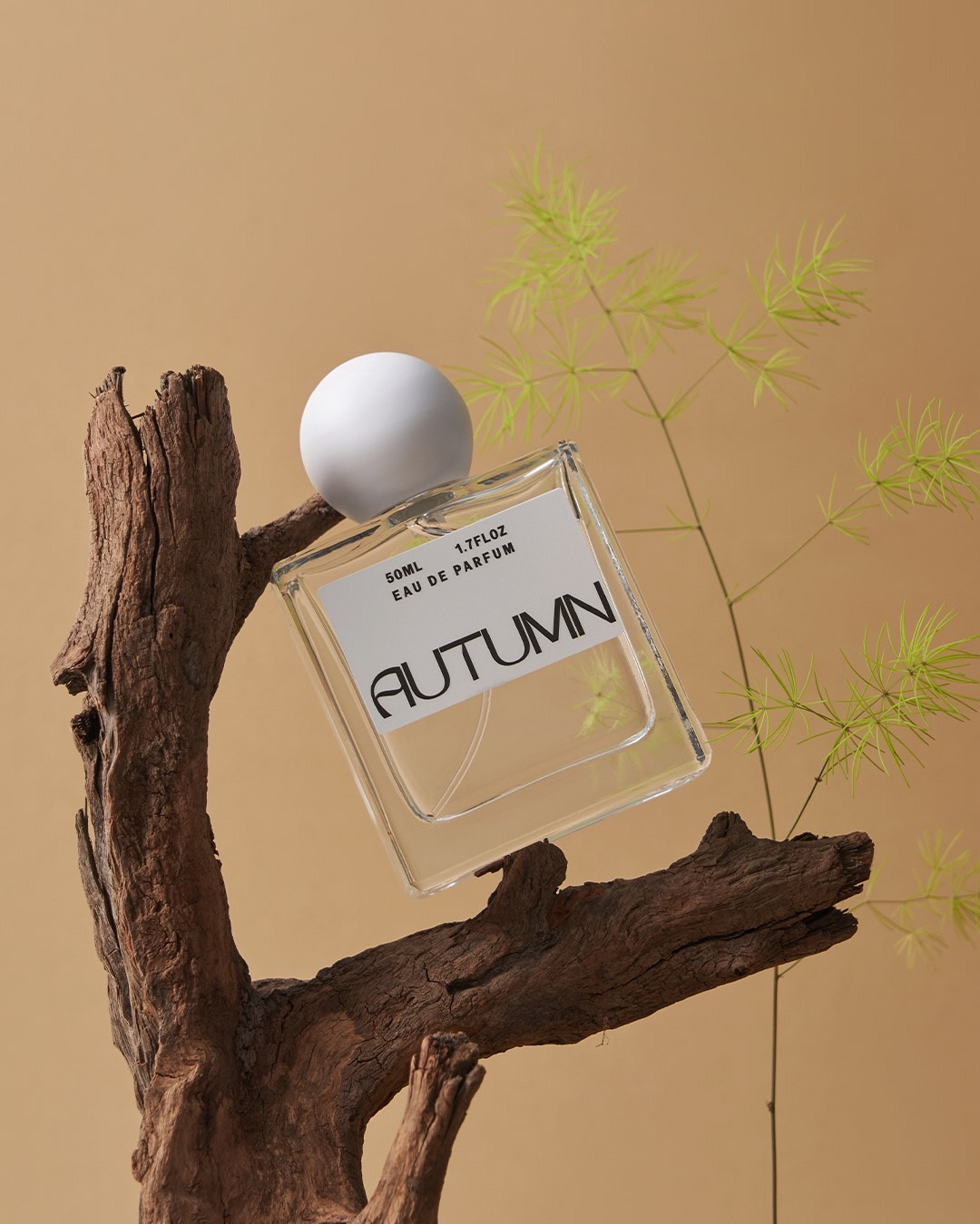 KAPA 四季調香訂製一日證書4