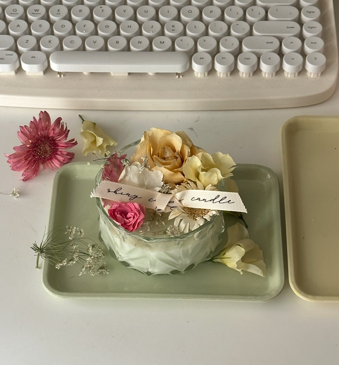 Shiny蠟燭創業班2