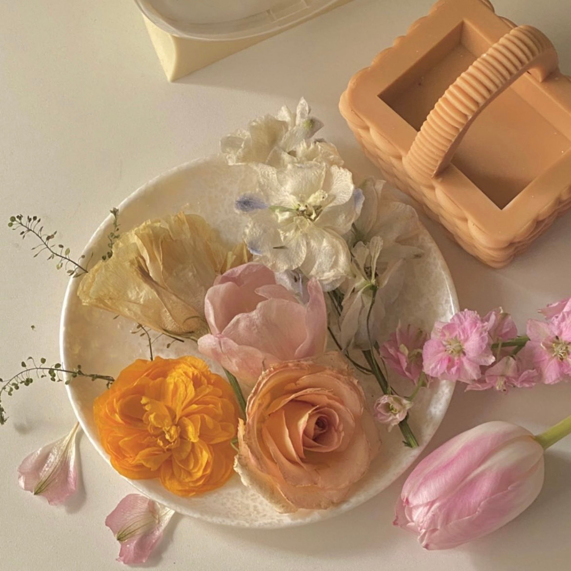 SDCA 創業設計蠟燭17