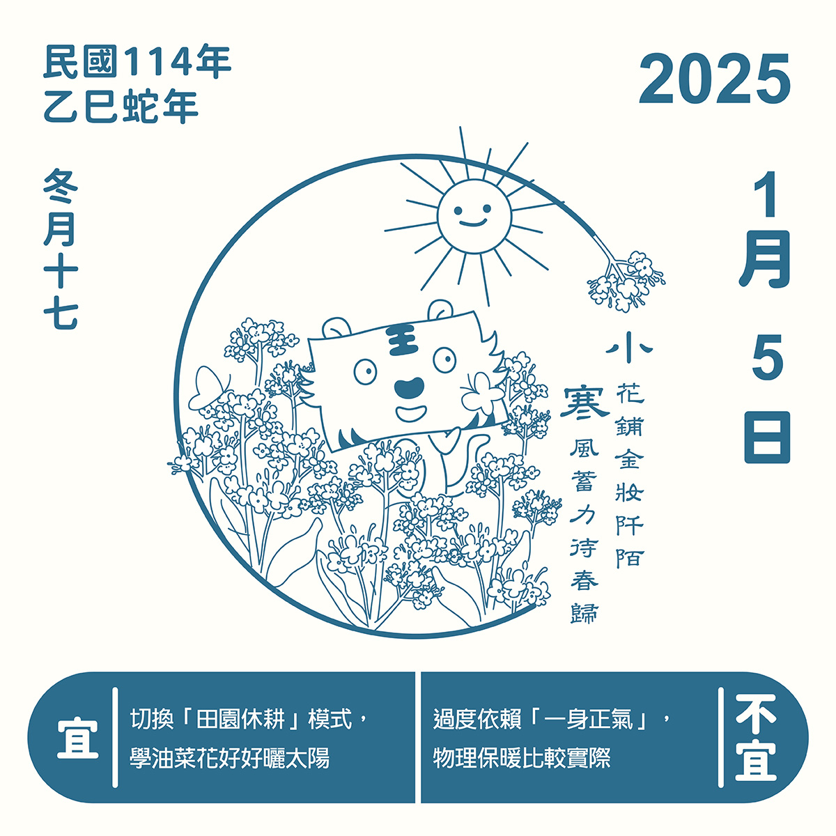 正光製藥2025小寒節氣插畫。可愛的金絲虎在盛開的油菜花田裡曬太陽,象徵冷裡藏暖。圖片右側對聯寫著:「小花鋪金妝阡陌,寒風蓄力待春歸」。下方養生建議:宜切換田園休耕模式,學油菜花好好曬太陽;不宜過度依賴一身正氣,物理保暖比較實際。
