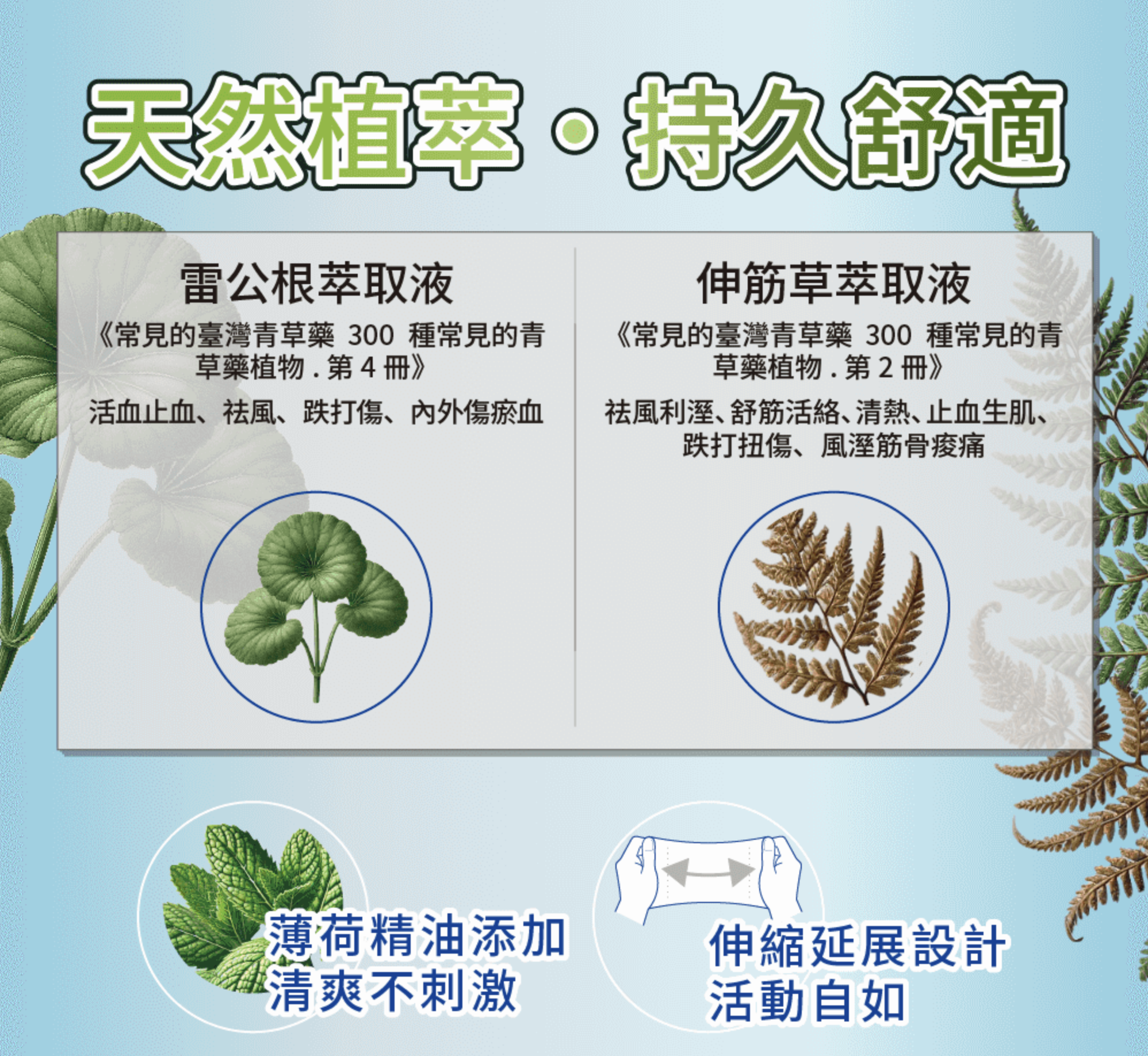 添加雷公根與伸筋草，安撫你的各種辛勞