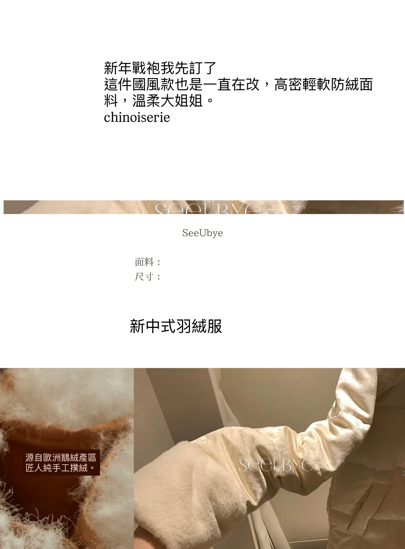 新中式清冷羽絨外套2